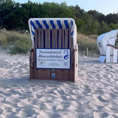 Meerschoenheit Feriehus Zingst